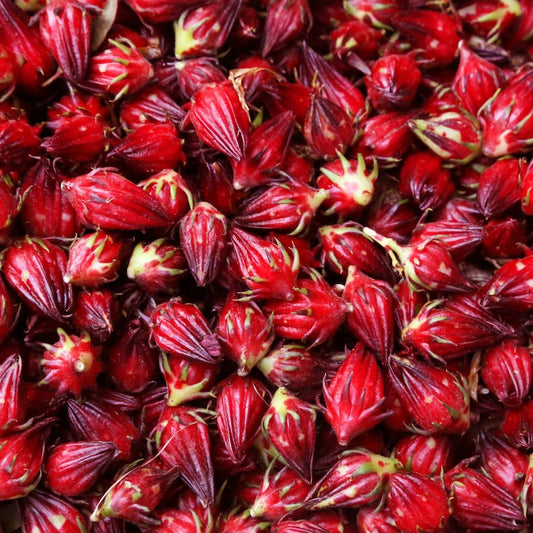 Oseille de Guinée Rouge / Hibiscus sabdariffa