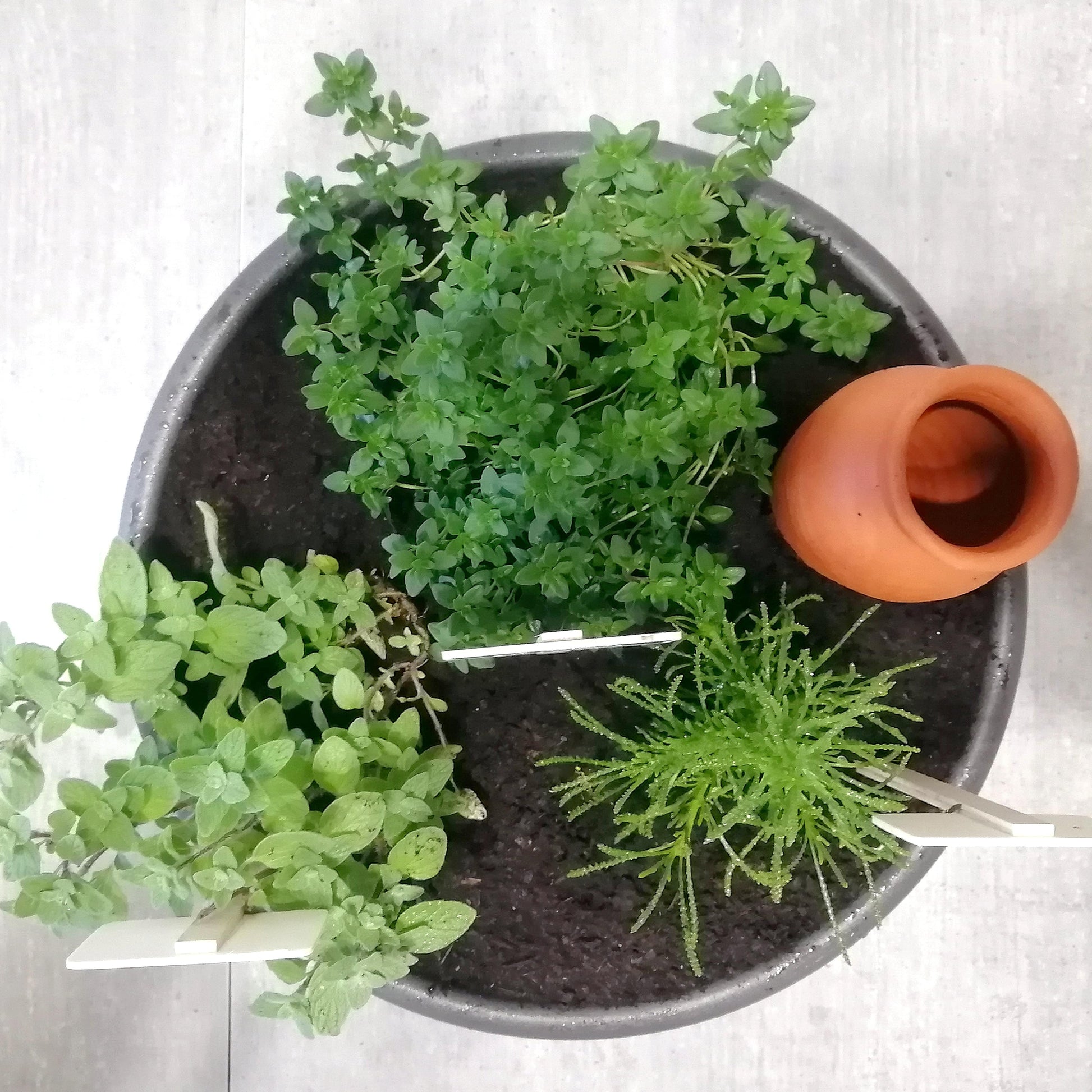 Une Fenêtre Avec Plusieurs Pots D'herbes Dessus.